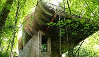 A House Amongst Trees