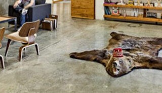Stunning Workplaces of a Creative Agency