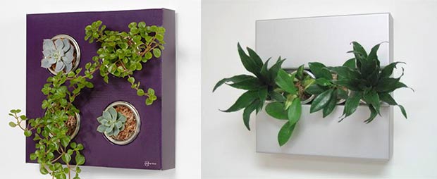 plant wall art