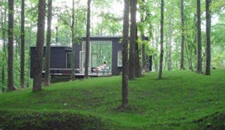 A Shadow Box of a Green Home
