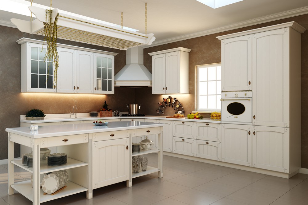 stylish kitchen traditional