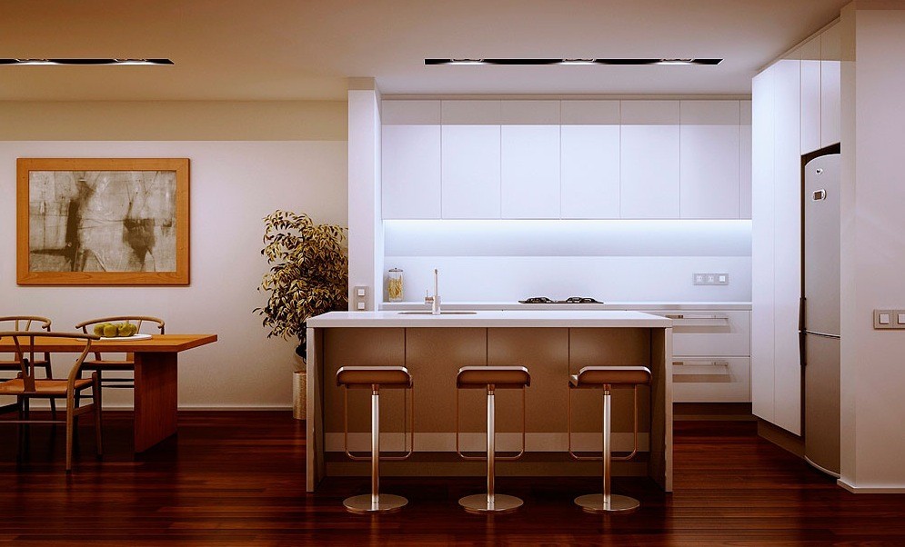 stylish kitchen