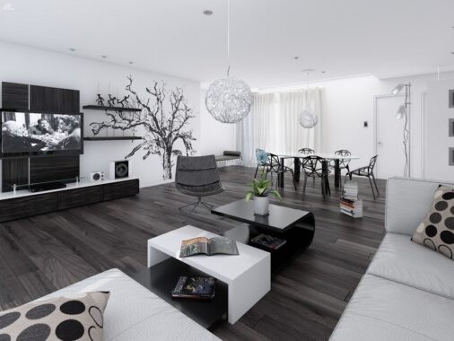 Black & White Interiors
