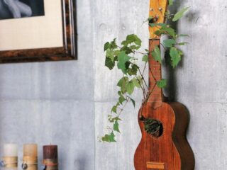 Bonsai In Interior Settings