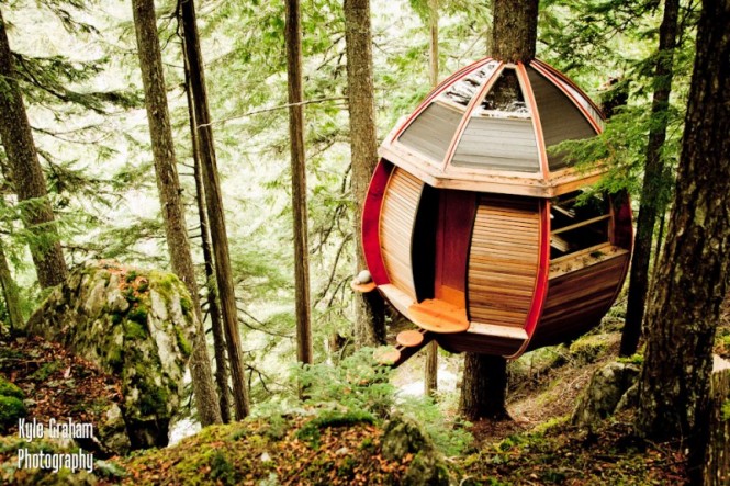 treehouse-bridge