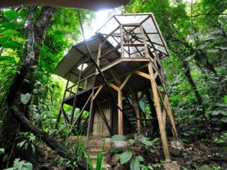 Sustainable Treehouse Community in Costa Rican Jungle