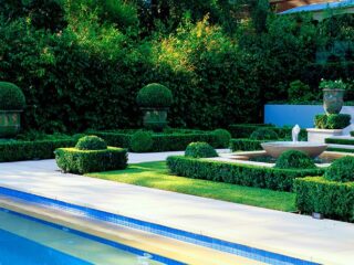 Garden Inspiration