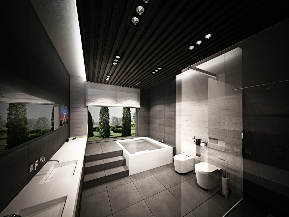 Luxury Black Toilets