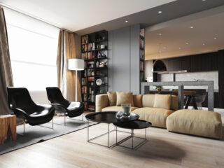 Crisp Comfortable Apartment Designs