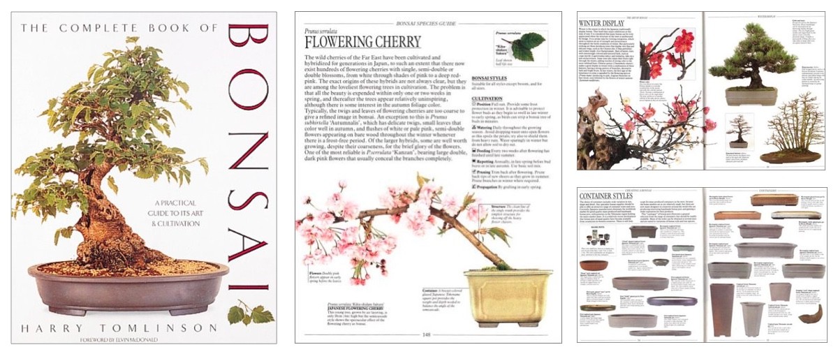 The Complete Book Of Bonsai