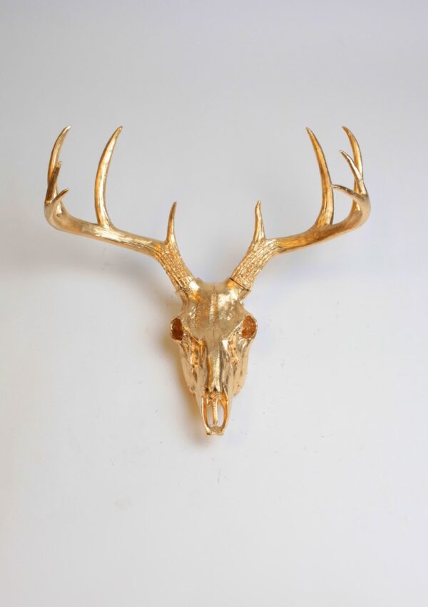 Top more than 163 deer decor wall best