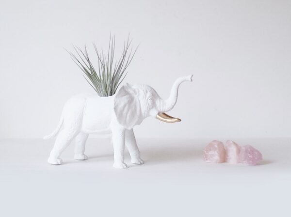 safari animal planters