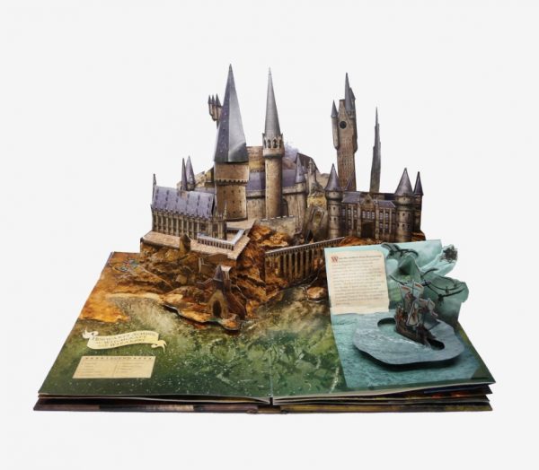 Harry Potter Home Decor For Adults