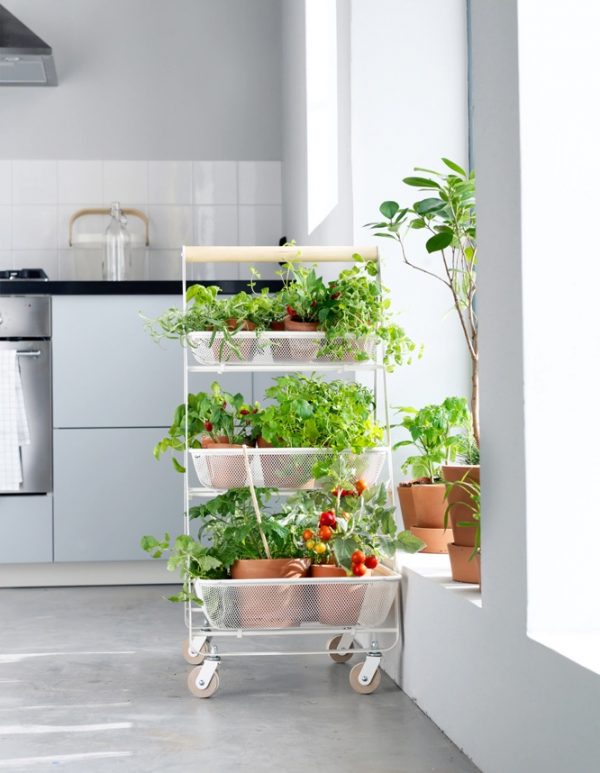 Add Life and Style with a Plant Stand
