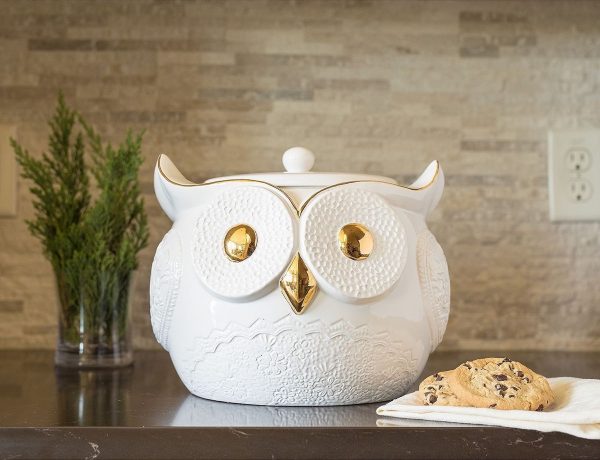 https://www.home-designing.com/wp-content/uploads/2017/03/white-owl-with-gold-eyes-and-beak-cute-cookie-jars-600x460.jpg