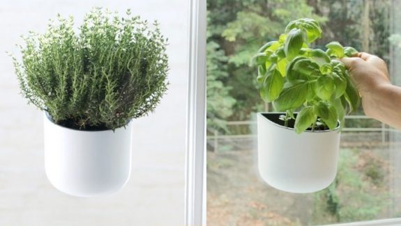 30 Indoor Herb Pots and Planters to Add Flavor to Any Home