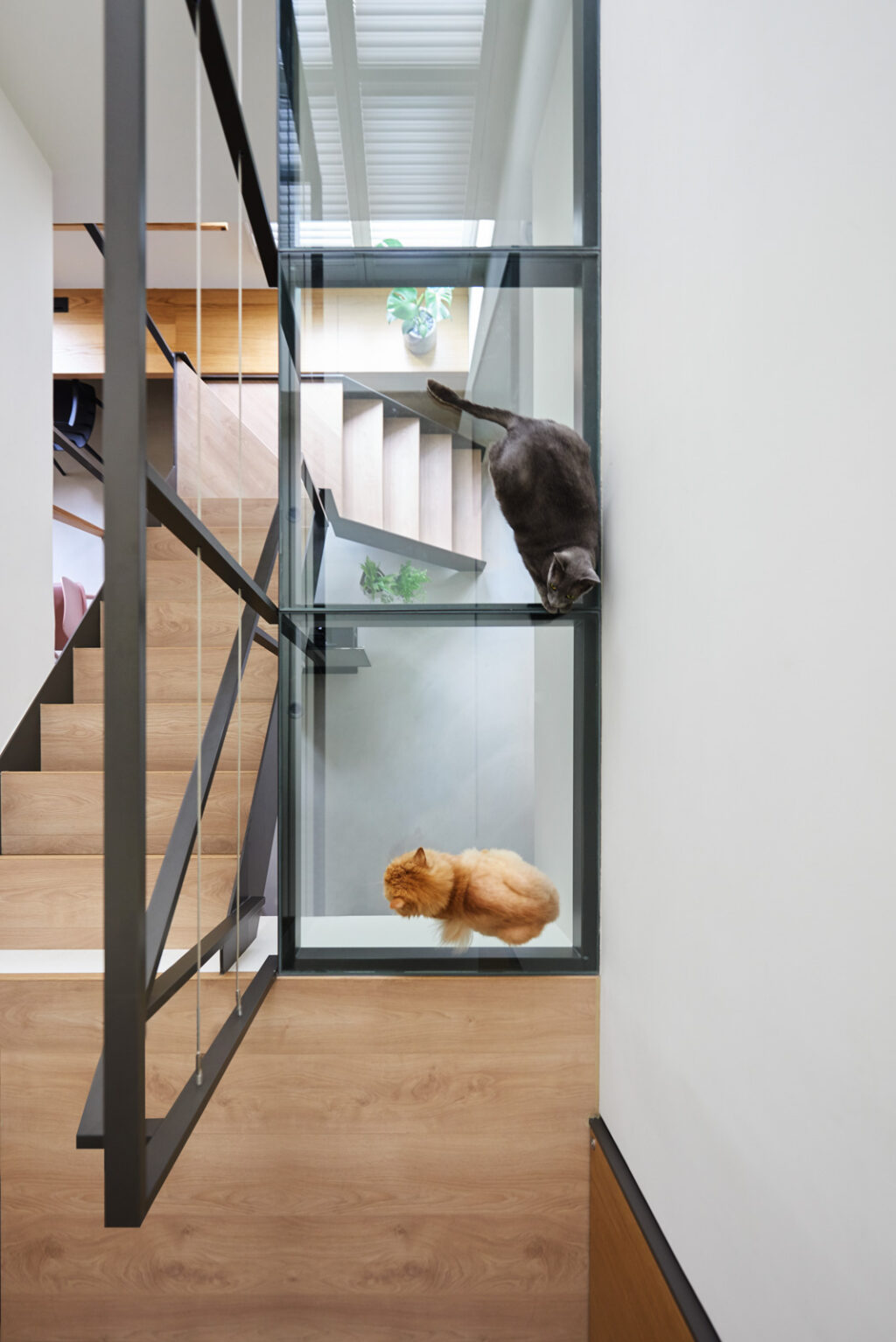 A Stylish Apartment With Cozy Spots for Cats