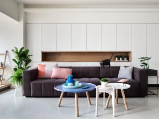 A Stylish Apartment With Cozy Spots for Cats
