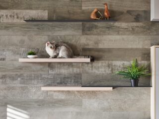 How To Make A Cat Happy: Cat Friendly Home Design