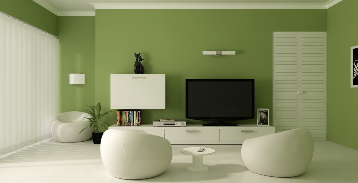 Dark Green And White Living Room Ideas