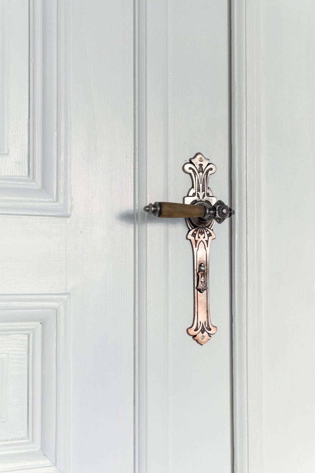 Art deco door handle Interior Design Ideas