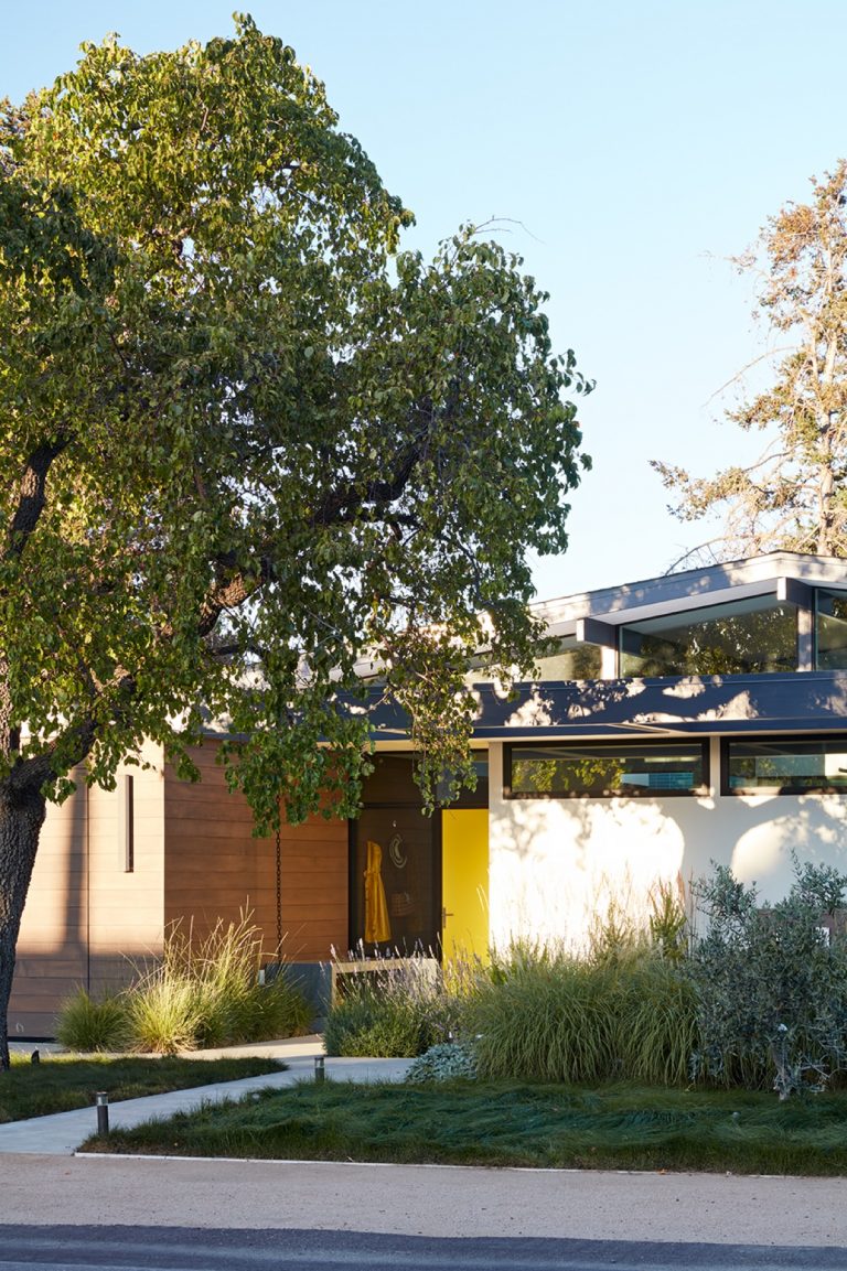 Modern garden | Interior Design Ideas