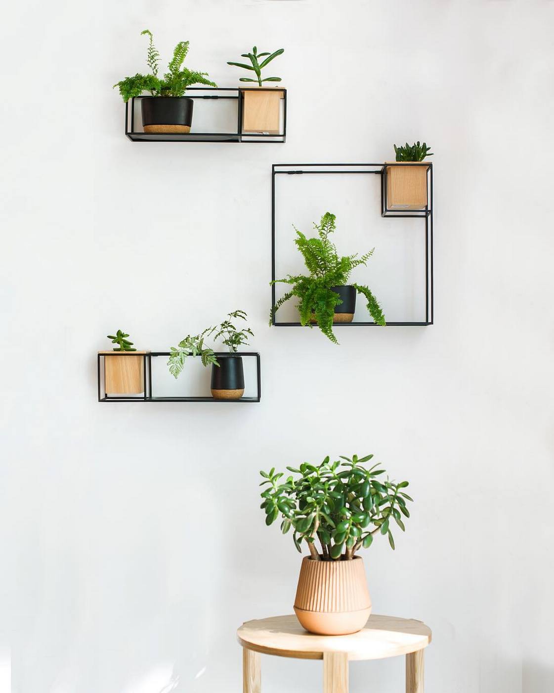 Product Of The Week: Beautiful Floating Shelf With Inbuilt Planter