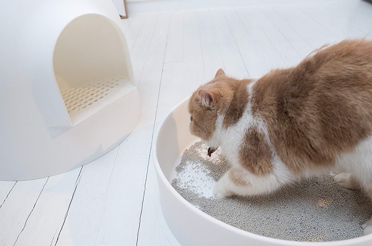 Igloo snow hot sale cat litter