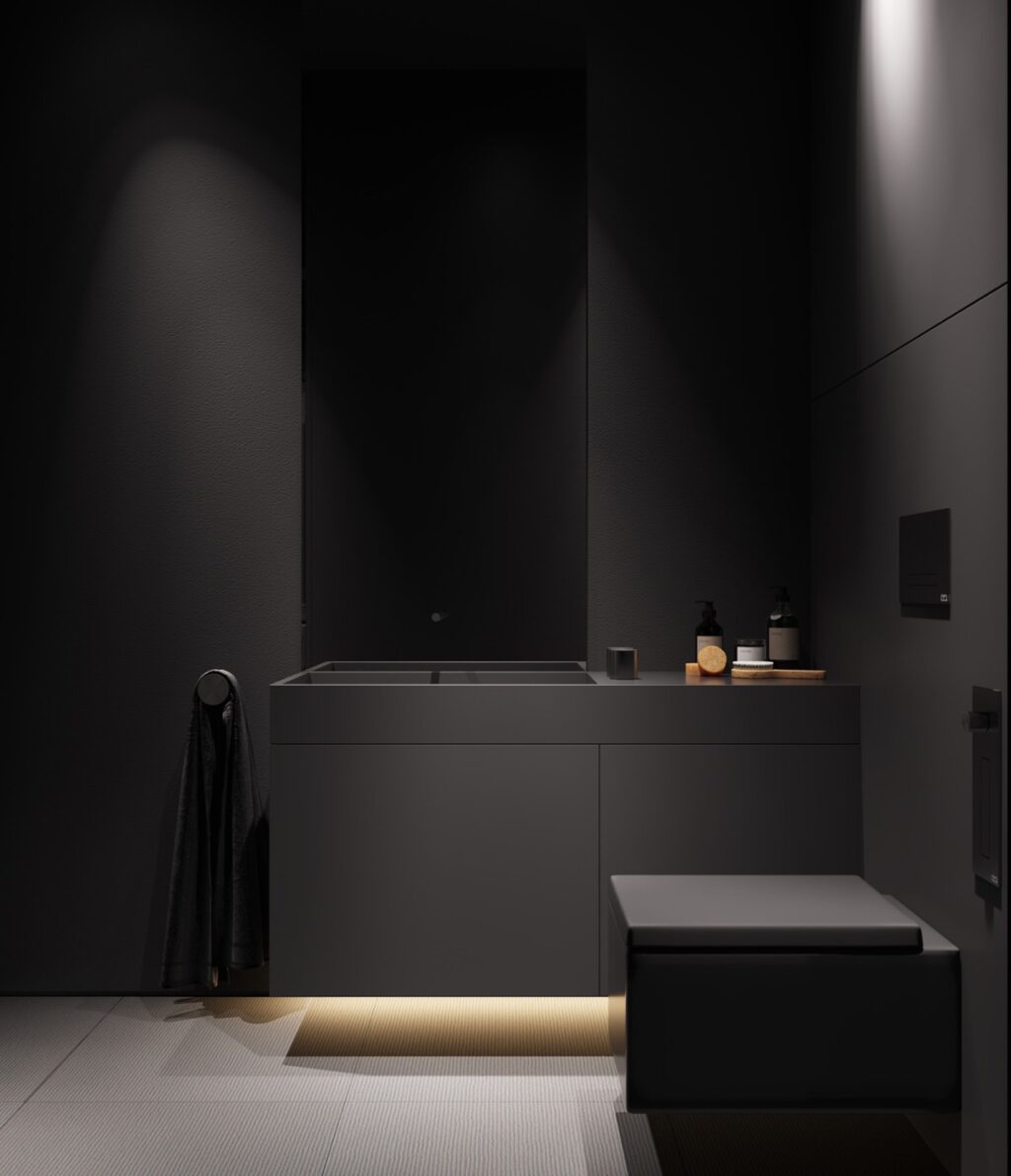 dark grey toilet Interior Design Ideas