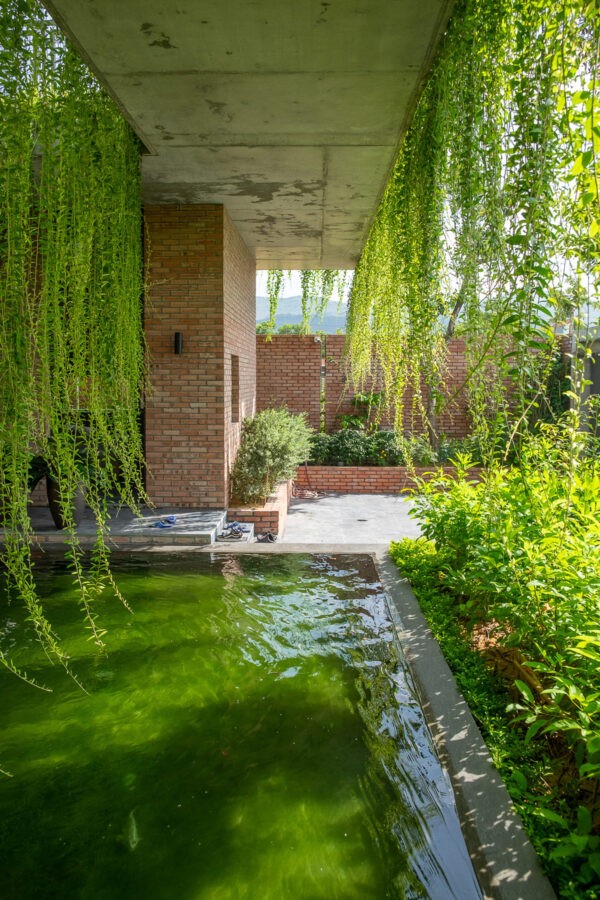 outdoor hanging plants | Interior Design Ideas