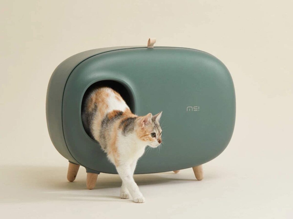 Expensive cat litter outlet