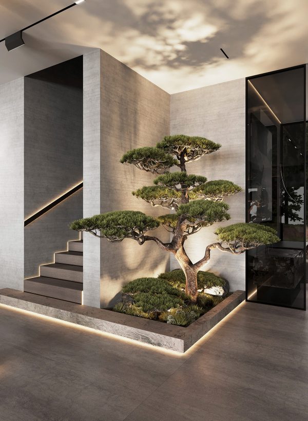bonsai tree | Interior Design Ideas