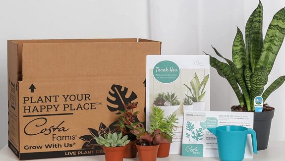 Product Of The Week: Plant and Succulent-Cactus Mix Subscription Box