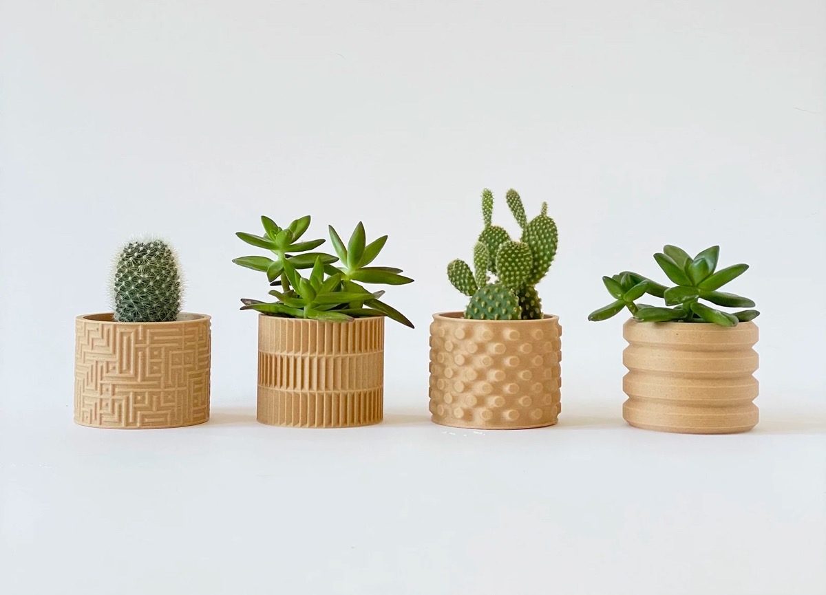 Beautiful Printed Pots To House Your Favorite Succulents