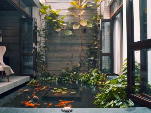Modern Indian House With A Beautiful Indoor Pond [Video]