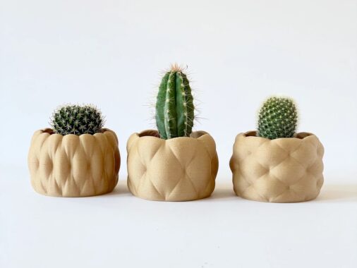 Beautiful 3D Printed Pots To House Your Favorite Succulents