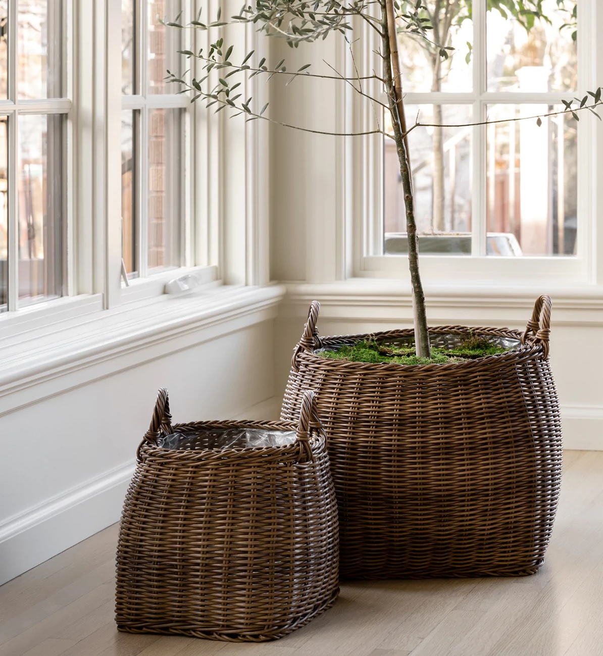 https://www.home-designing.com/wp-content/uploads/2022/08/cute-large-basket-planter-woven-faux-rattan-baskets-with-handles-lined-cachepots-for-small-indoor-trees-how-to-display-extra-large-houseplants.jpg