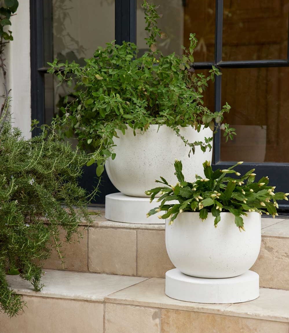 Large Bowl Planter With Disc Shaped Base Heavy Weight Concrete Outdoor 