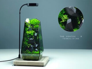 Maintenance-free Moss Terrariums