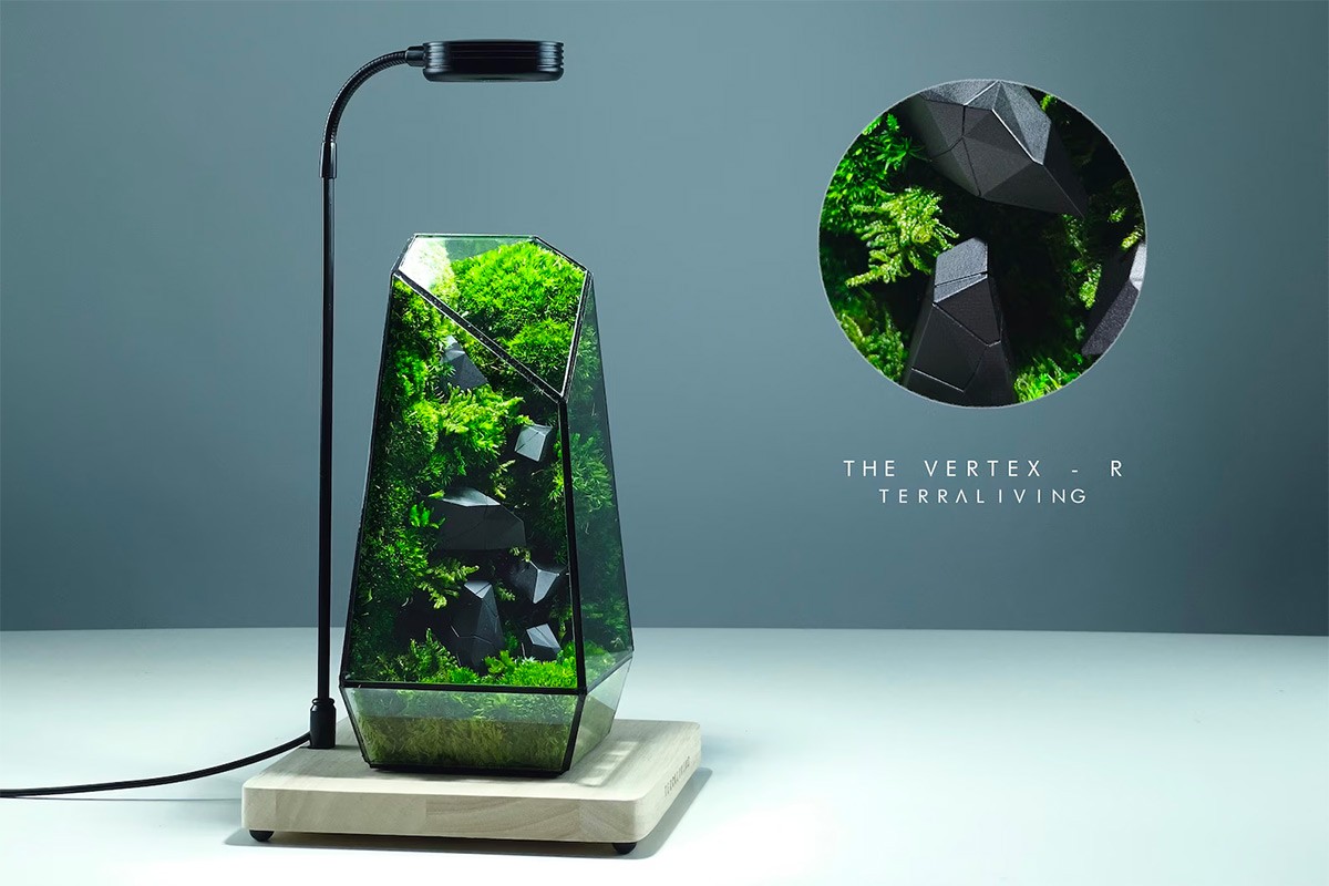 Moss Terrariums