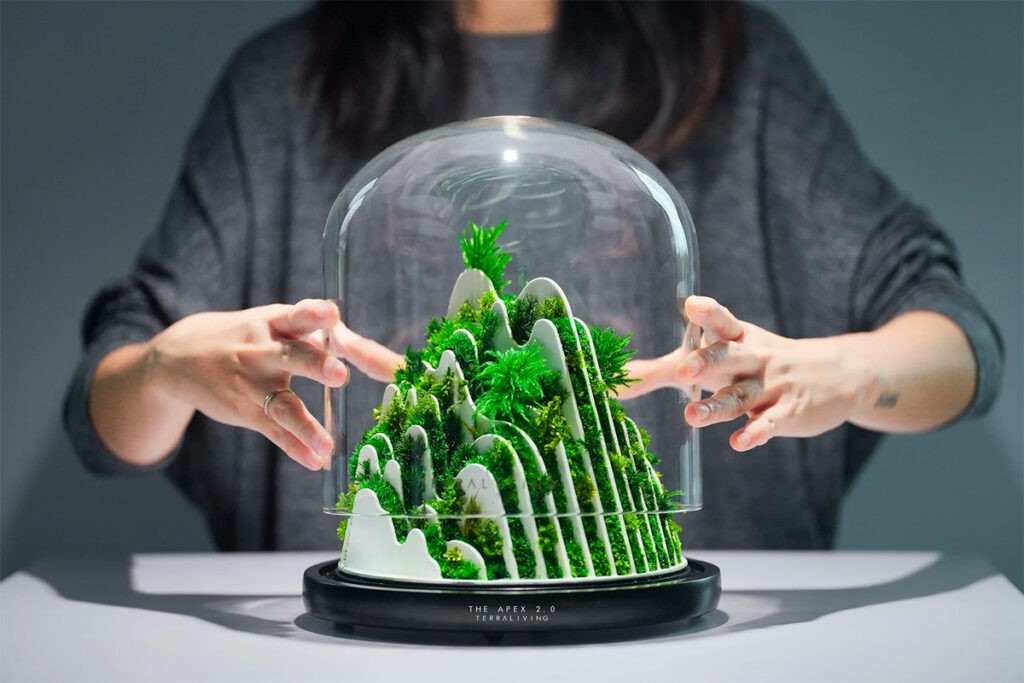 Large 3D Printed Terrarium | Interior Design Ideas
