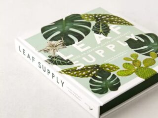 Product Of The Week: Guide to Keeping House Plants