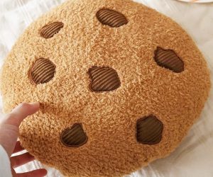 chocolate chip cookie pillow