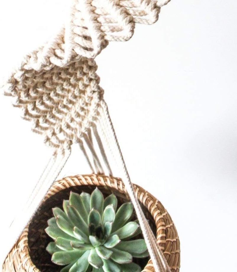 boho macrame plant holder