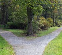 fork in the road