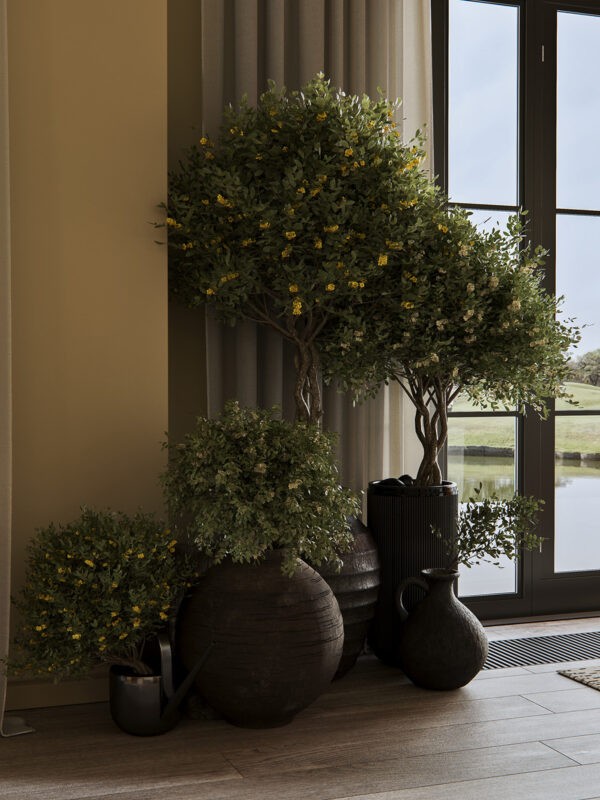 Art of Elegance Inside a Sophisticated Mid-Century Home
