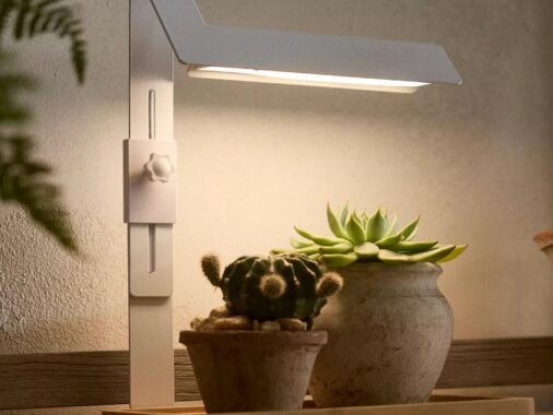 Modern white and wood grow light