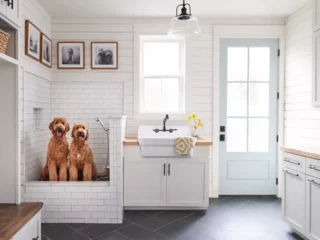 Pet-Friendly Interior Design Ideas That Look Chic and Modern